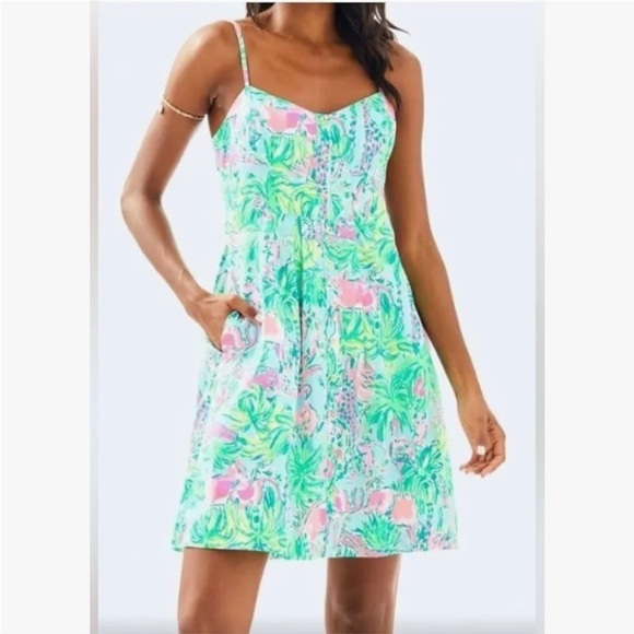 Lilly Pulitzer Pink and Green Easton Dress - Picture 15 of 15